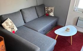 Apartment Owl